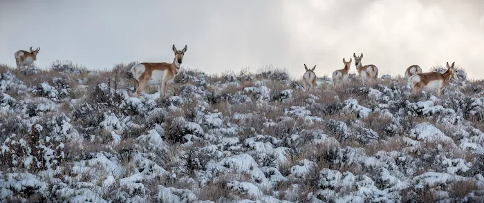 Duncan Reservoir Campground Picture 4