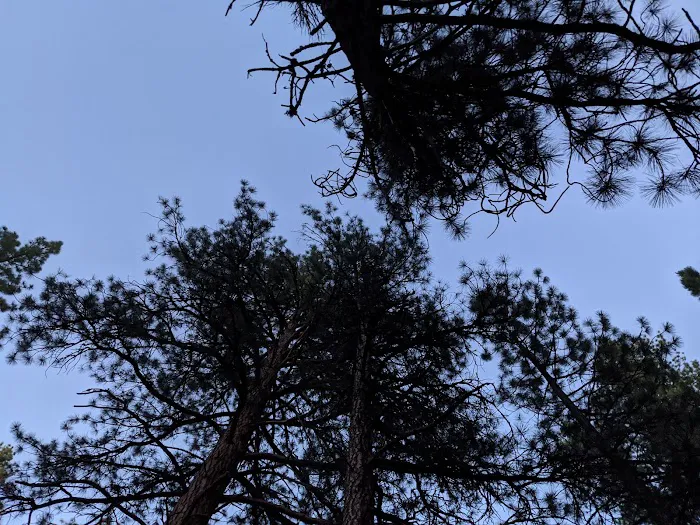 Lower Buck Creek Campground Picture 1