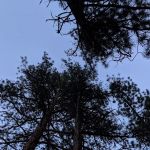 Lower Buck Creek Campground