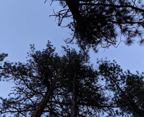 Lower Buck Creek Campground