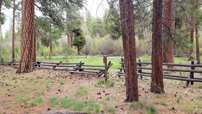 Lower Buck Creek Campground Picture 7