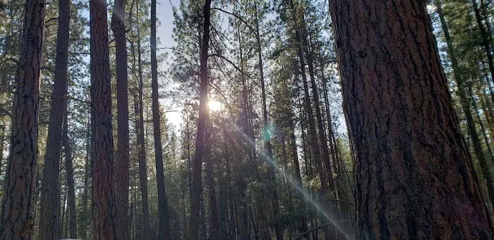 Jackson Creek Campground Picture 2