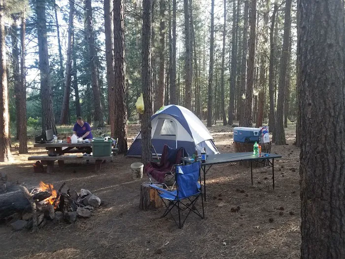 Jackson Creek Campground Picture 7