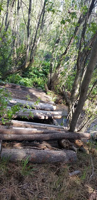 Jackson Creek Campground Picture 6