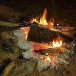 Jackson Creek Campground