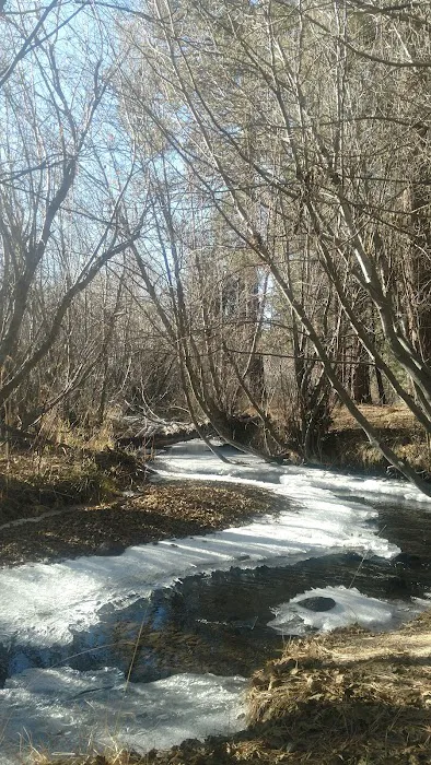 Jackson Creek Campground Picture 5