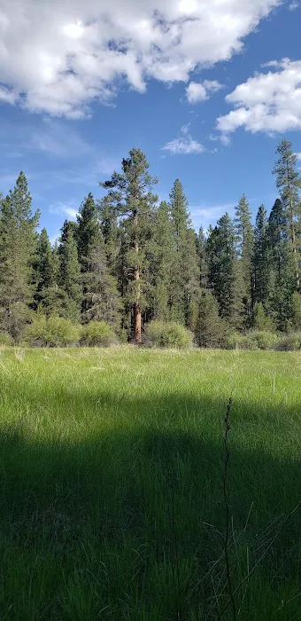 Jackson Creek Campground Picture 9