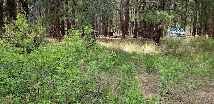 Jackson Creek Campground Picture 10