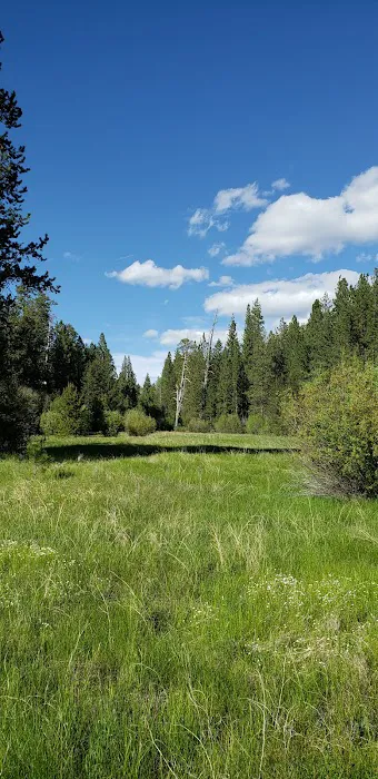 Jackson Creek Campground Picture 8