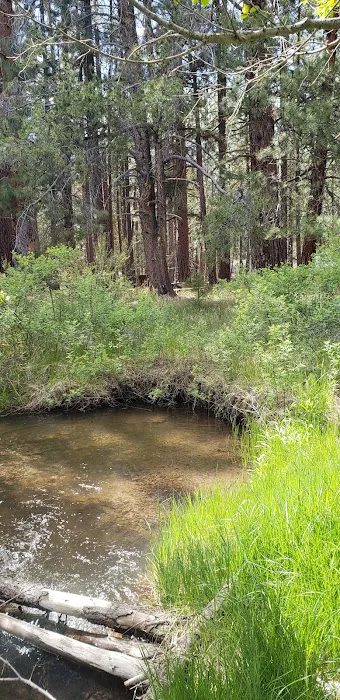 Jackson Creek Campground Picture 3