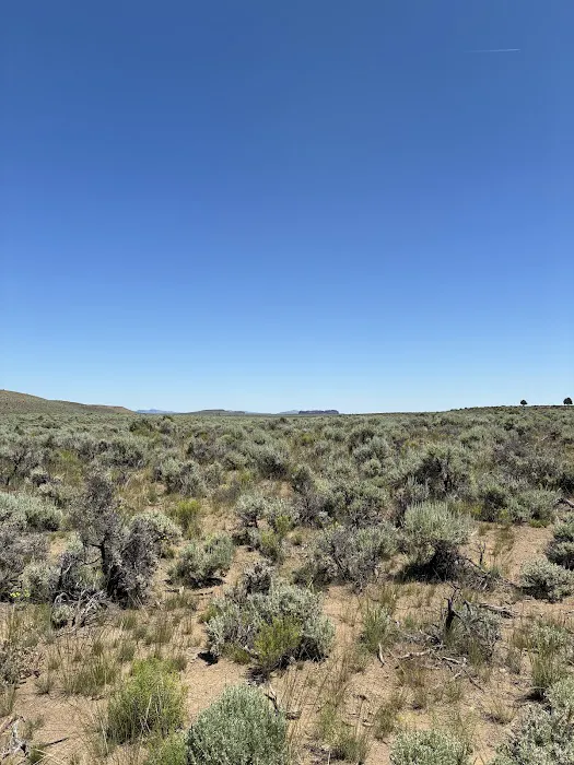 Coyote Ridge Campground Picture 1