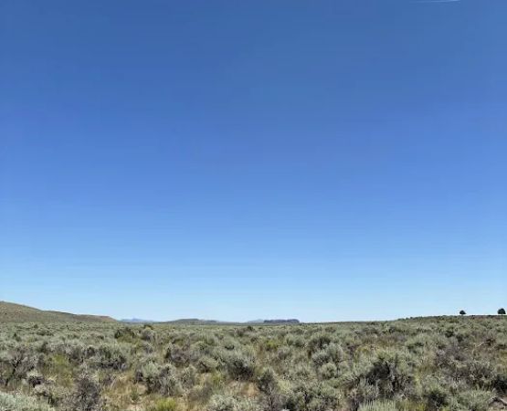 Coyote Ridge Campground