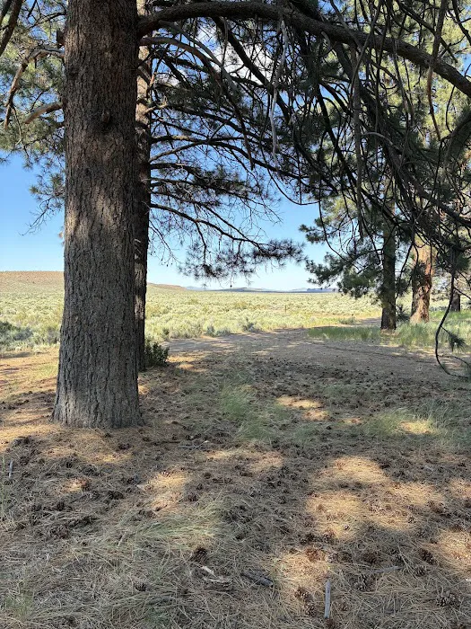 Coyote Ridge Campground Picture 7