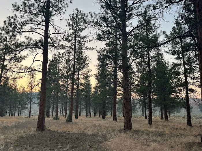 Coyote Ridge Campground Picture 8