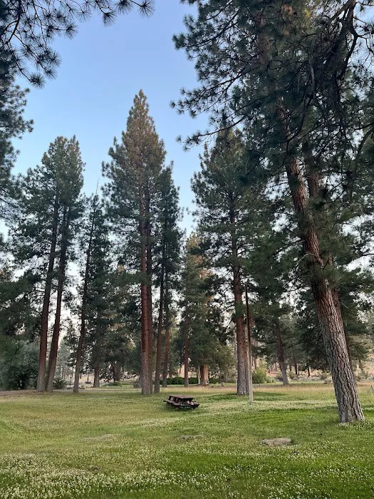 Coyote Ridge Campground Picture 2