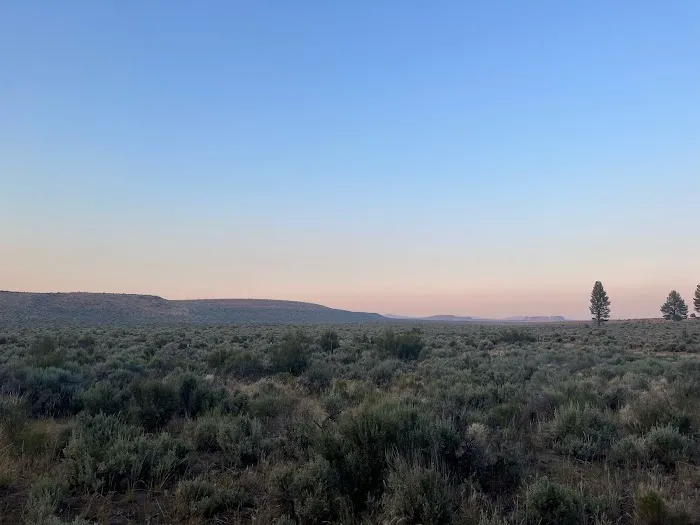 Coyote Ridge Campground Picture 6