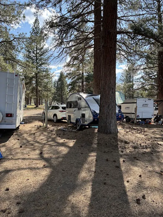 Coyote Ridge Campground Picture 4