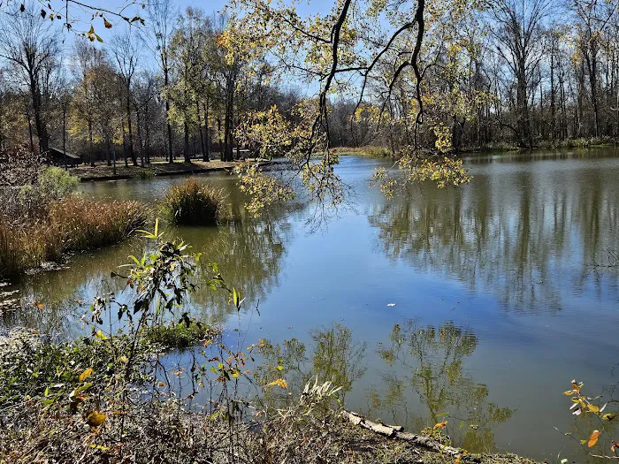 Jennings Ferry Park Campground Picture 6