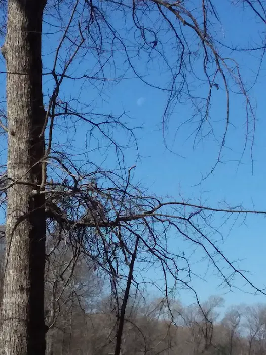 Forkland Campground Picture 7