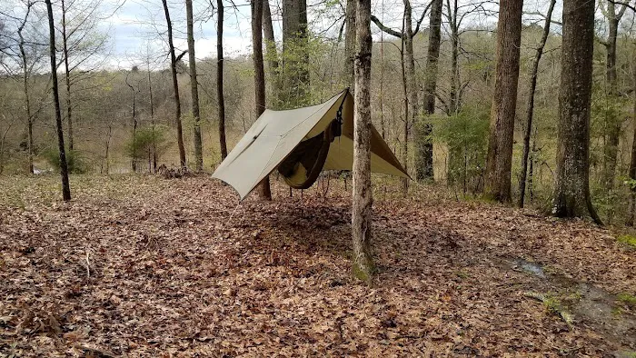 Forkland Campground Picture 2