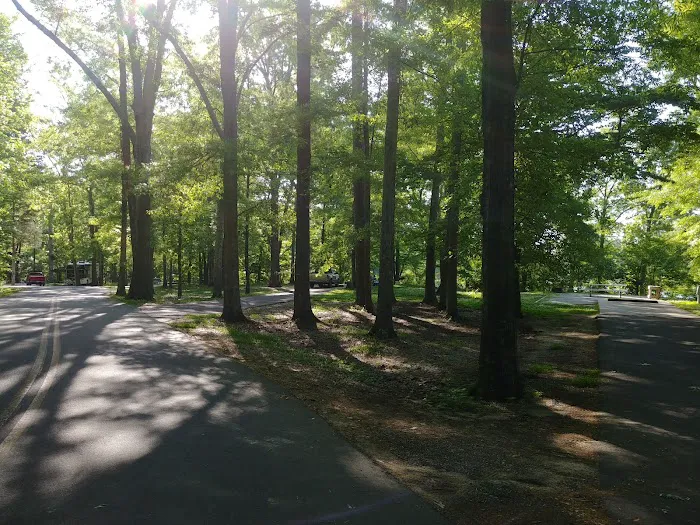 Forkland Campground Picture 10