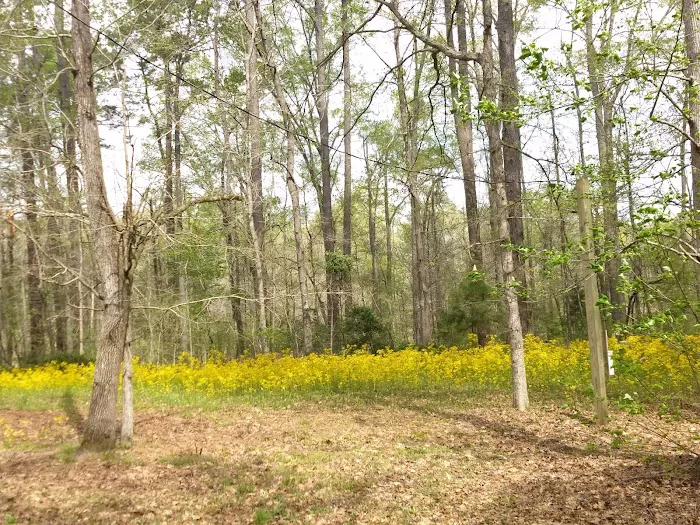 Forkland Campground Picture 8