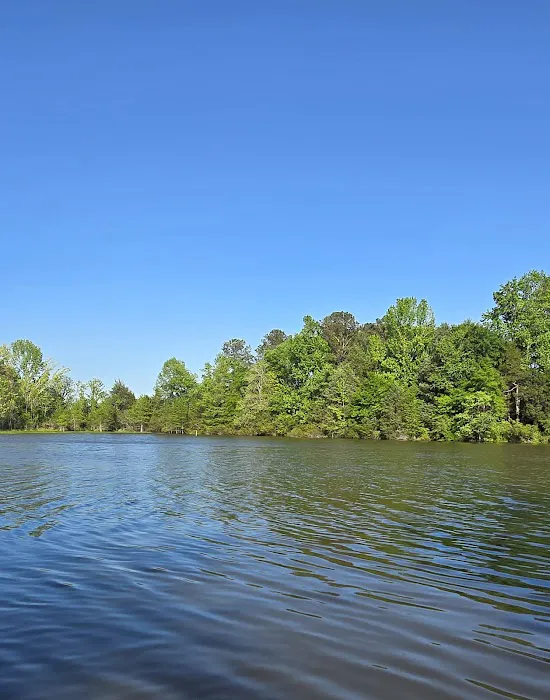 Millers Ferry Campground Picture 8