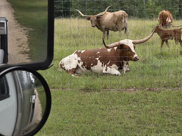 Red HIll Plantation Picture 1