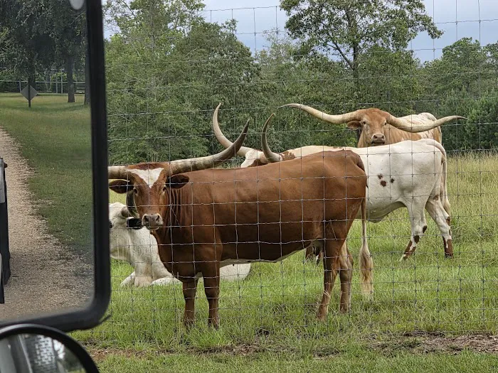 Red HIll Plantation Picture 2