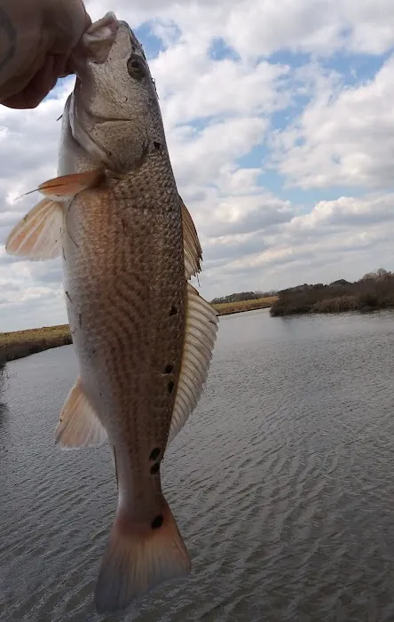 Carl Park Picture 10