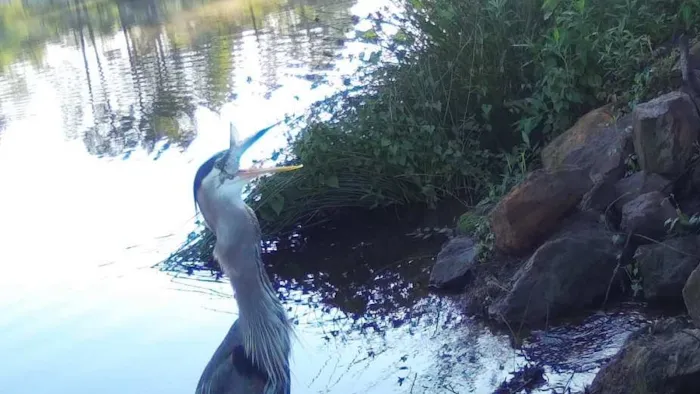 Rock Hill Bed & Bale RV Park & Arena Picture 9