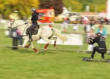 Rock Hill Bed & Bale RV Park & Arena Picture 6