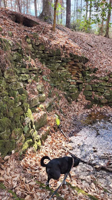 Boles Field Campground - Sabine National Forest Picture 9