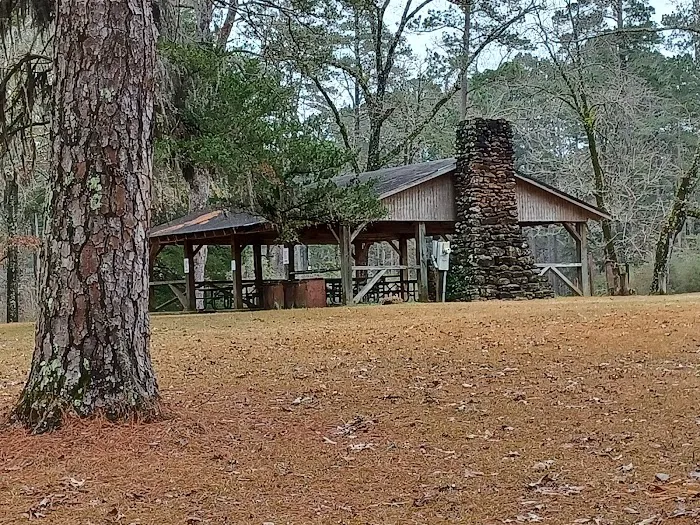 Boles Field Campground - Sabine National Forest Picture 6