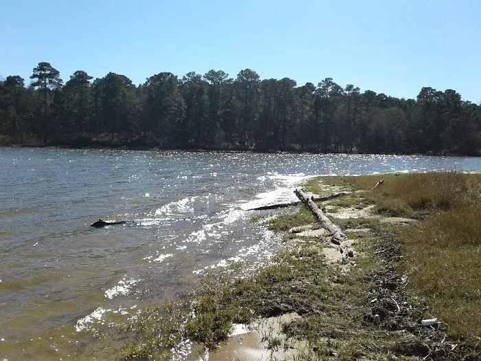 Beans VIP Campground Picture 4