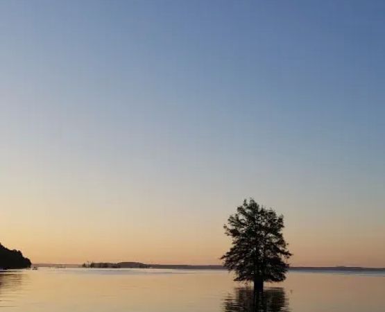 Beans VIP Campground