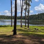 Red Hill Lake Campground