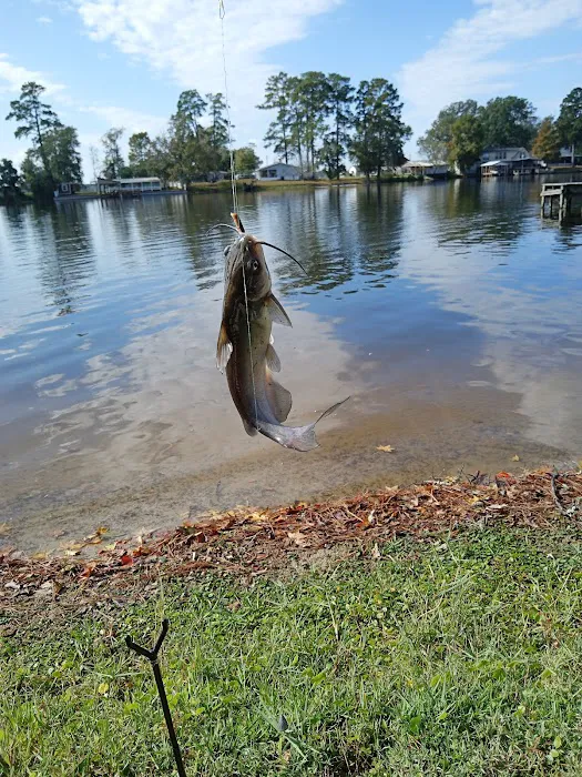 Lake Murvaul Marina & Resort Picture 9