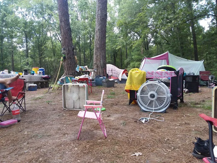 Lake Murvaul Marina & Resort Picture 10