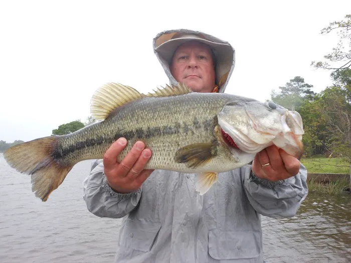 Lake Murvaul Marina & Resort Picture 2