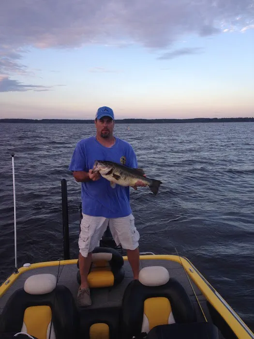 The Byrd's Nest RV Park & Cabins Picture 2