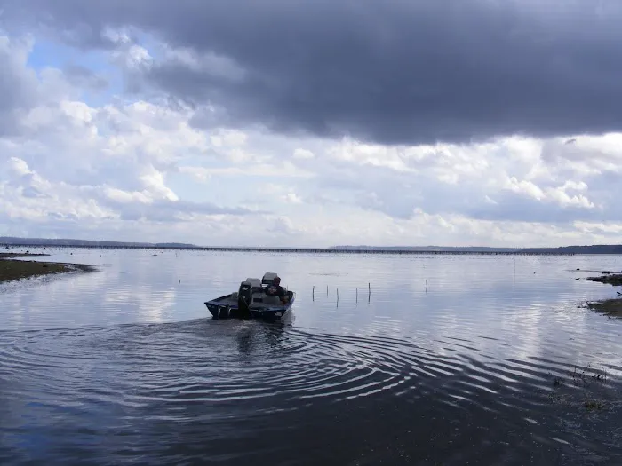 The Byrd's Nest RV Park & Cabins Picture 4