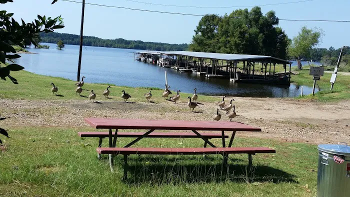 The Byrd's Nest RV Park & Cabins Picture 5