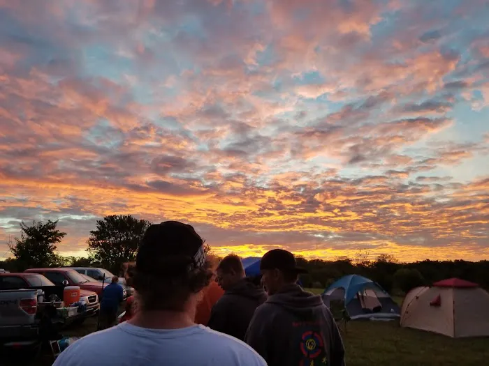 Maple Leaf Picture 2