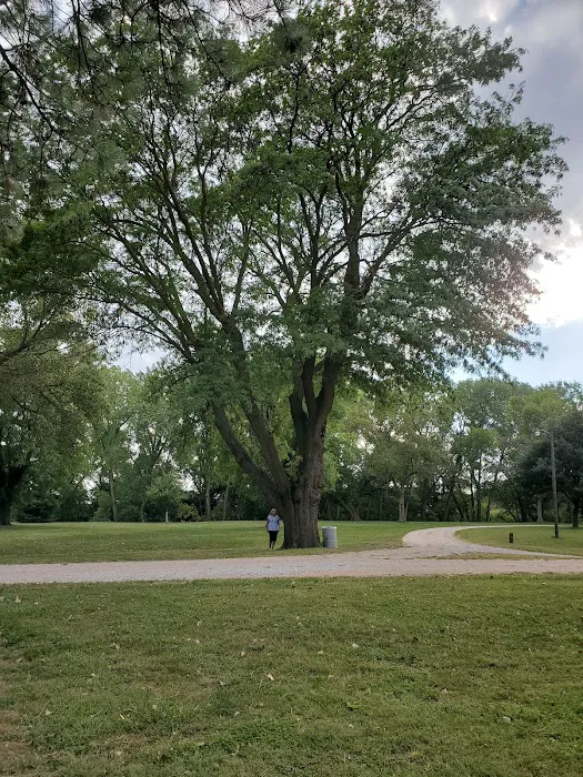 Blue Valley Camping Area Picture 3