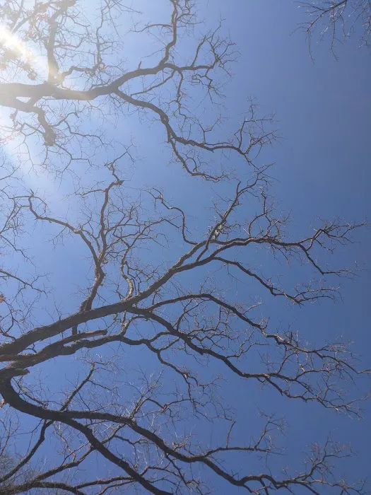 Boy Scouts Camp Kanza Picture 3