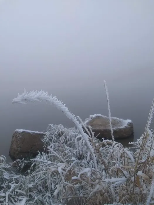 Bear Creek Reservoir Parking Picture 7