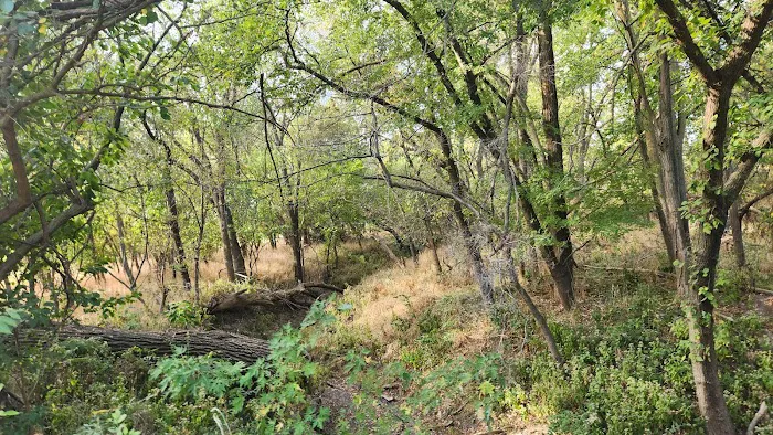 Riverside Park Campground Picture 2