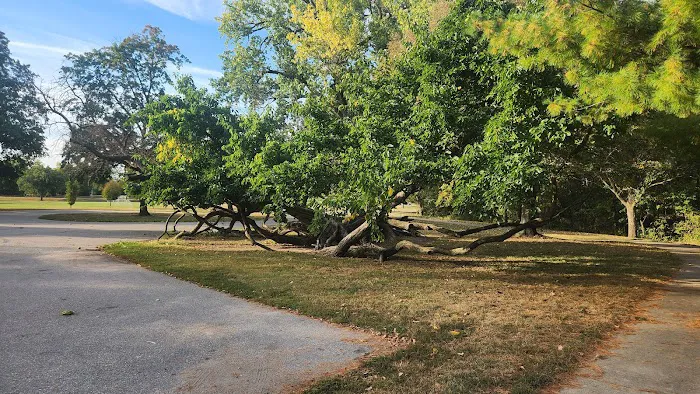 Riverside Park Campground Picture 10