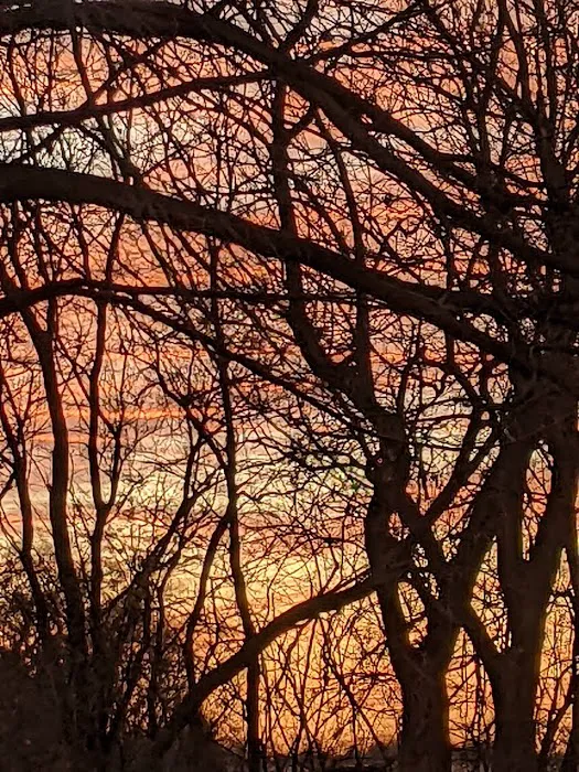 Riverside Park Campground Picture 9